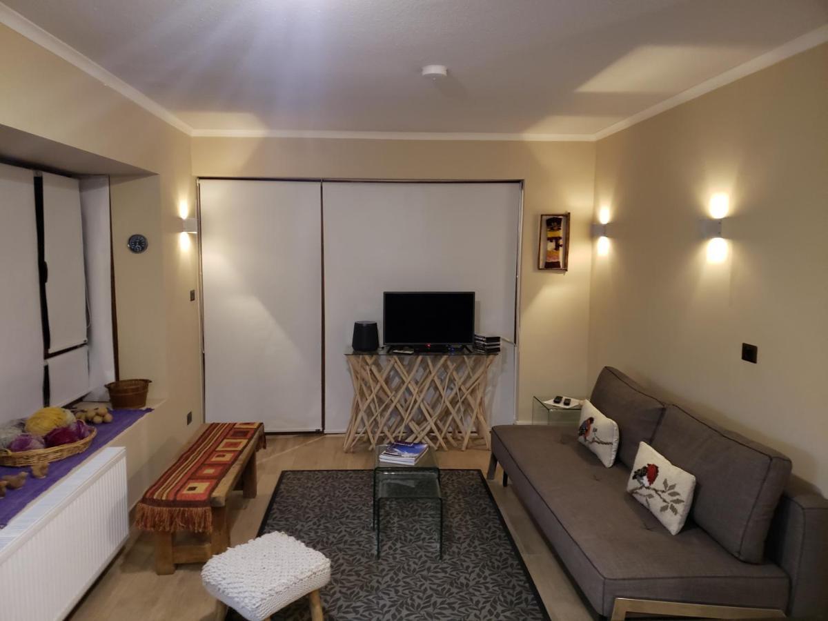 Valle Nevado Vip Apartment Ski Out-In Dış mekan fotoğraf